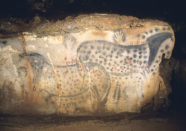 Peintures rupestres en Afrique du Sud : des artistes paléontologues