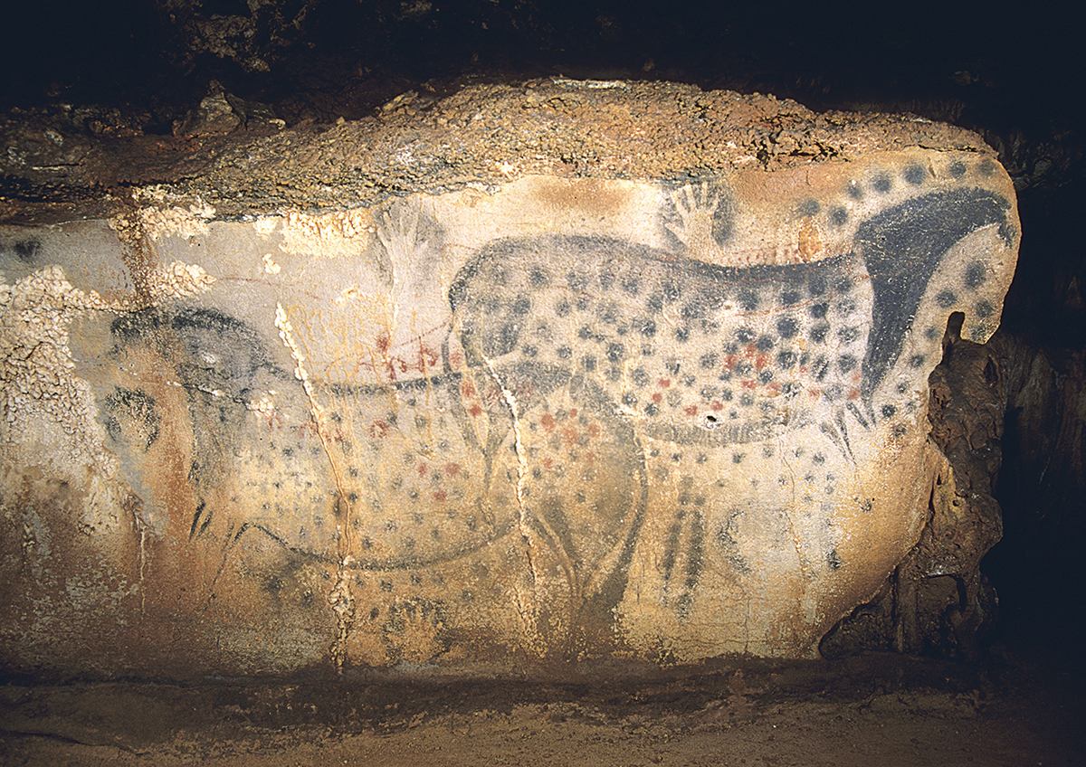 Peintures rupestres en Afrique du Sud : des artistes paléontologues