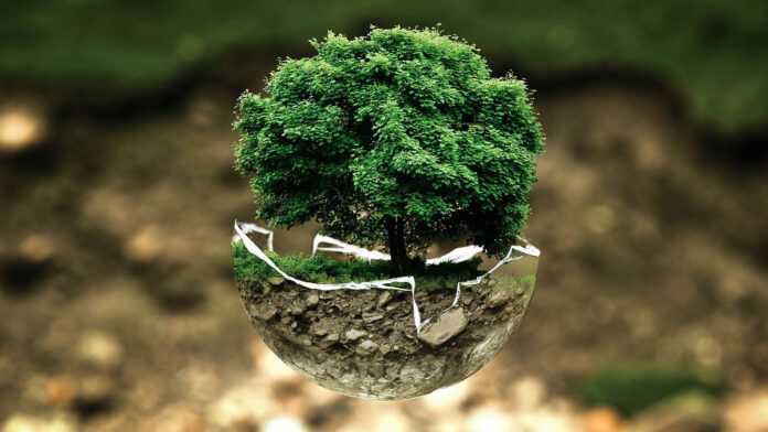 Ecologie (illustration) Ecologie (illustration)