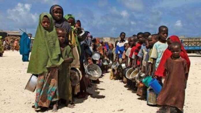 Famine Famine, Afrique