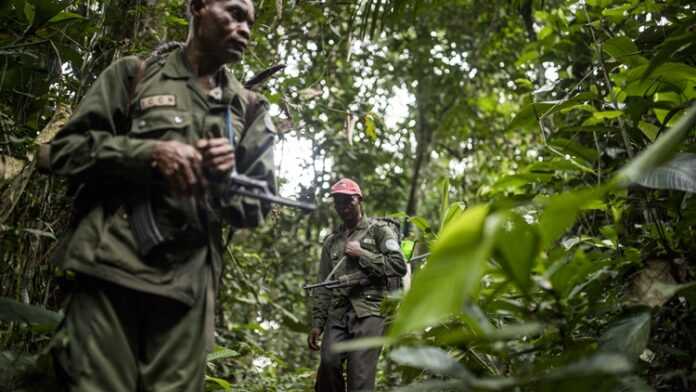gardes-parc-virunga Gardes du parc de Virunga