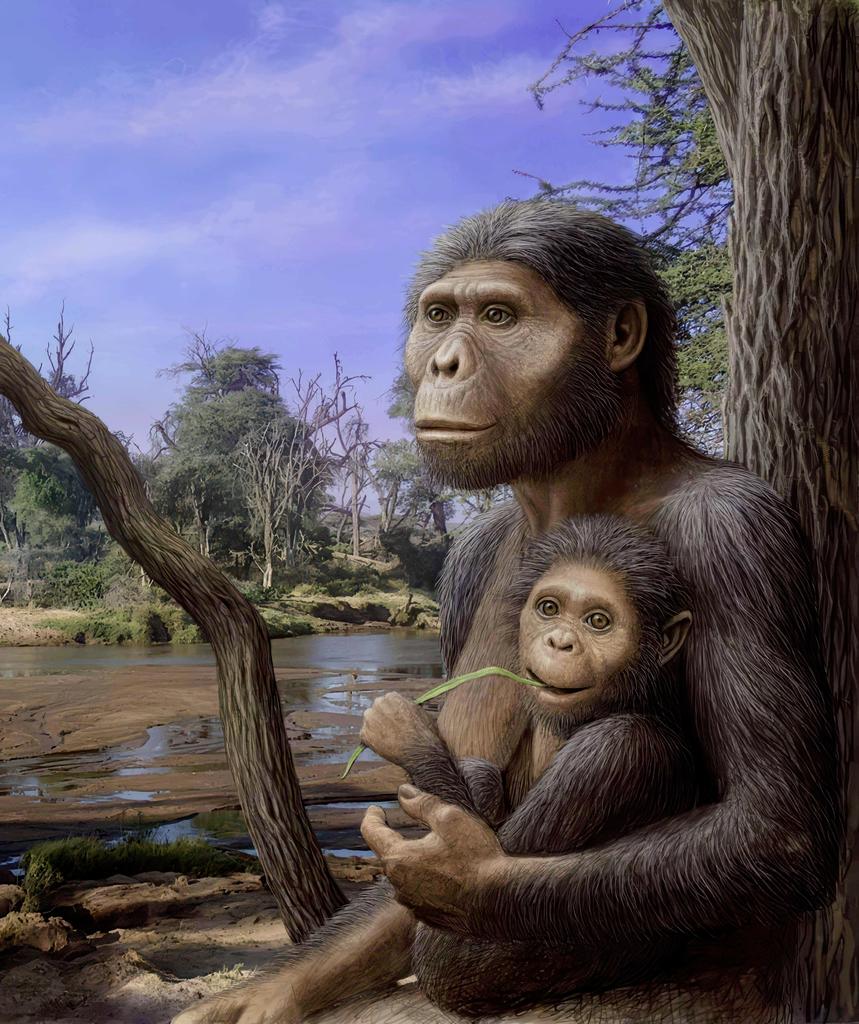 Une femelle d'A. afarensis et son bébé. 