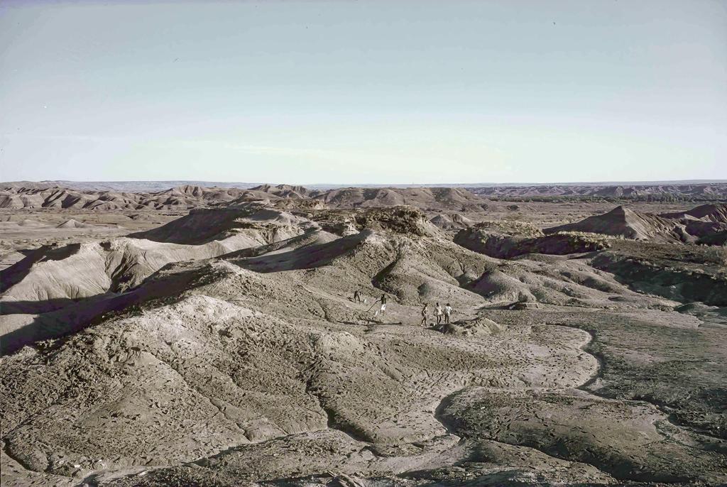 Vue générale du site A. L. 288. 