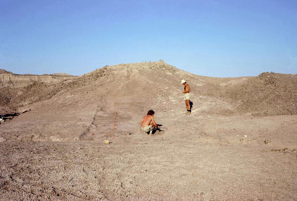Donald Johanson et Tom Gray sur le site de découverte de Lucy. 