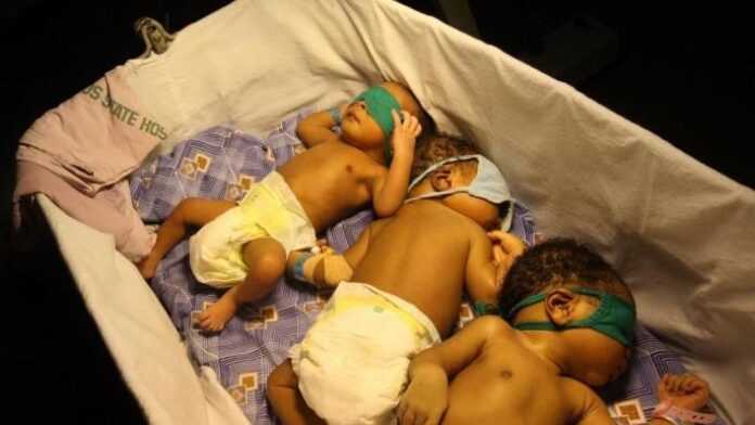 Bébés Bébés