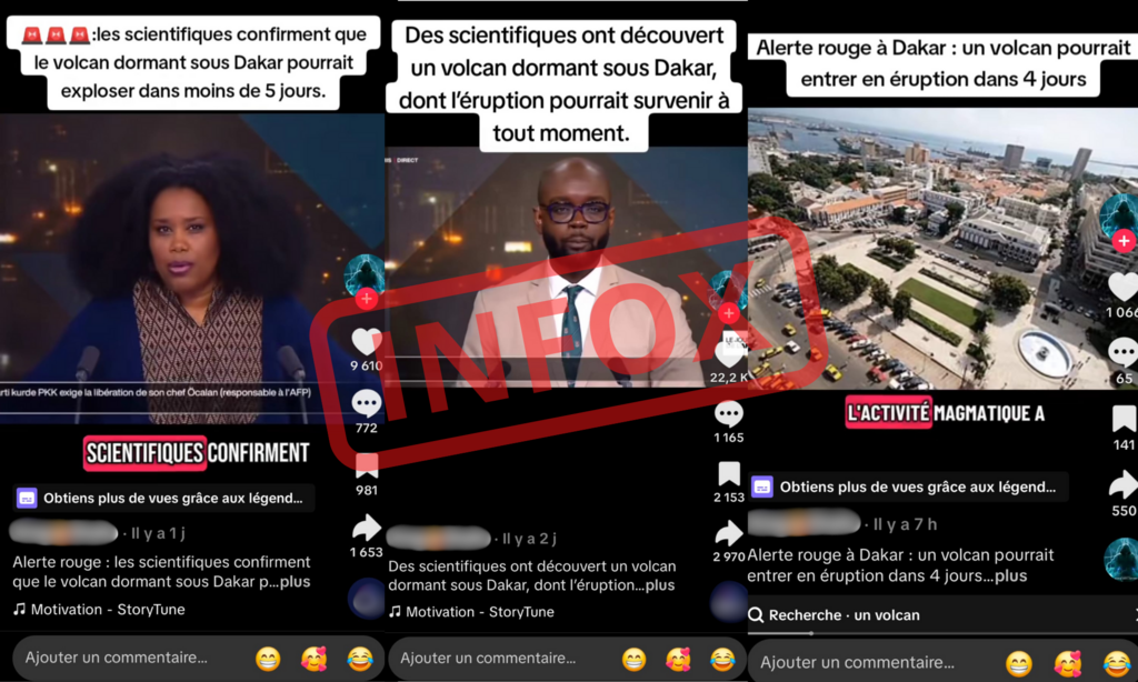 Toutes ces vidéos mensongères ont été publiées par un seul compte TikTok.