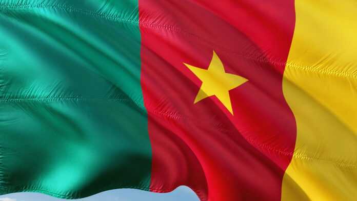Drapeau du Cameroun Drapeau du Cameroun
