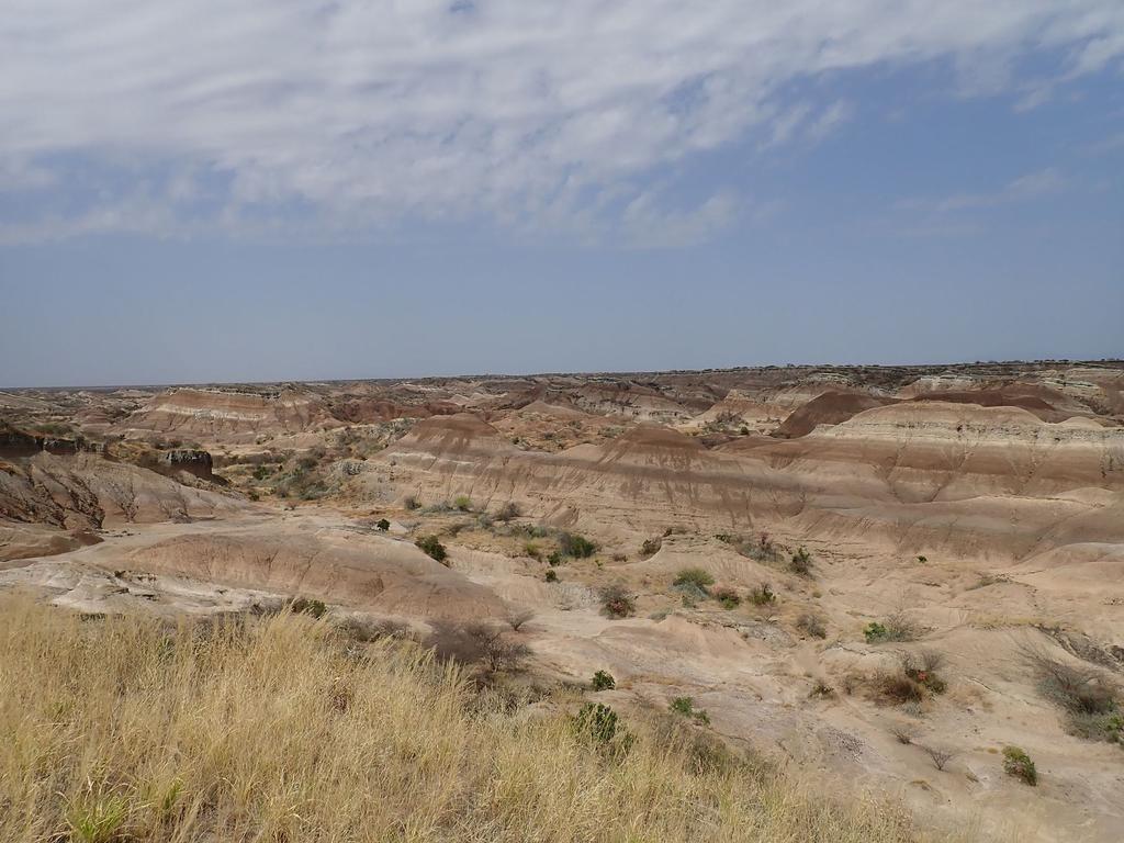 Vue d’une partie des dépôts de la Formation de Shungura – ici séquence comprise entre 2,5 et 2,1 Ma, riche en Paranthropus boisei. 