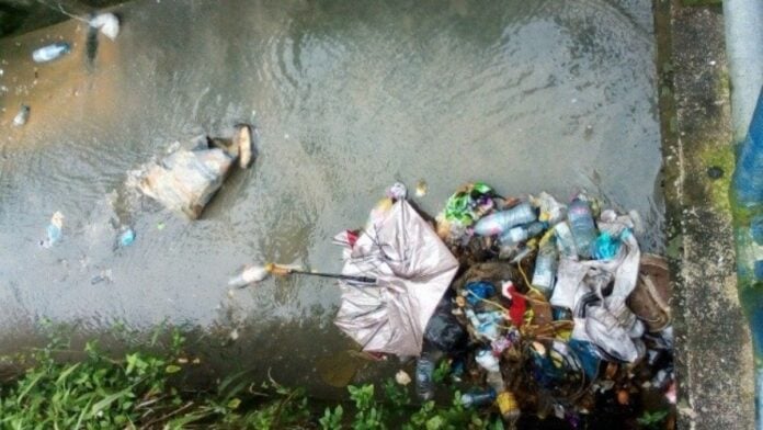 ordures dans un drain Des ordures dans un drain