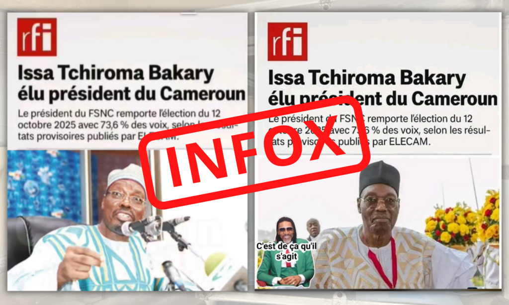 Non, ces articles n'ont pas été publiés par RFI. Notre logo a été détourné.