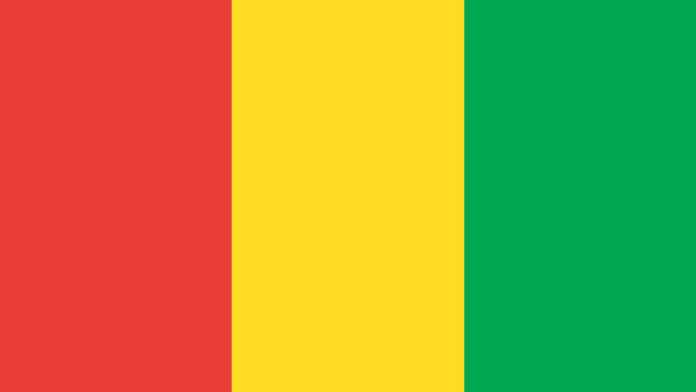 drapeau Guinée drapeau Guinée