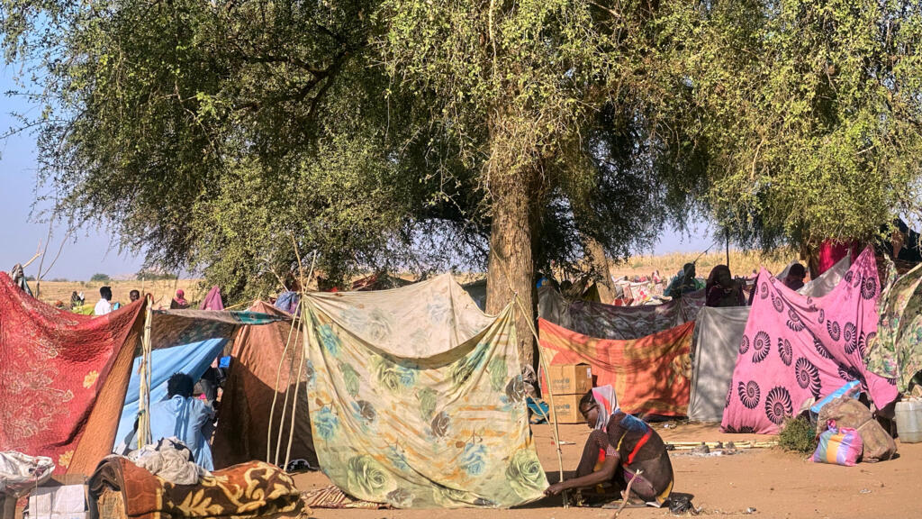 Une Soudanaise ayant fui la ville d'el-Fasher après que les forces paramilitaires soudanaises ont tué des centaines de personnes dans la région occidentale du Darfour, installant sa tente dans le campement de Tawila, au Soudan, le dimanche 2 novembre 2025.