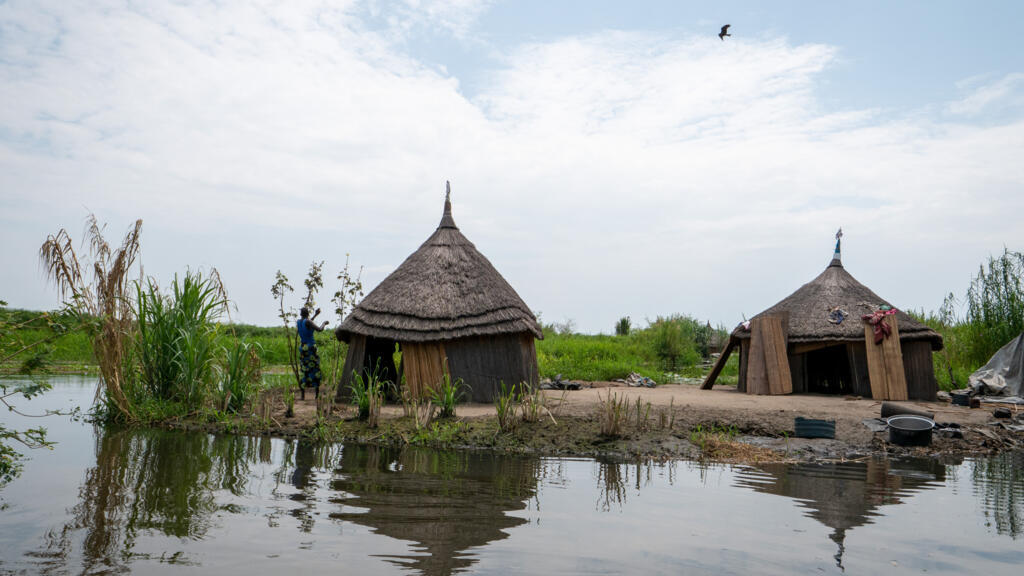 Une maison Akuak située sur une île construite à la main avec les matériaux du marais de la plaine du Nil, au Soudan du Sud, le 8 novembre 2025.