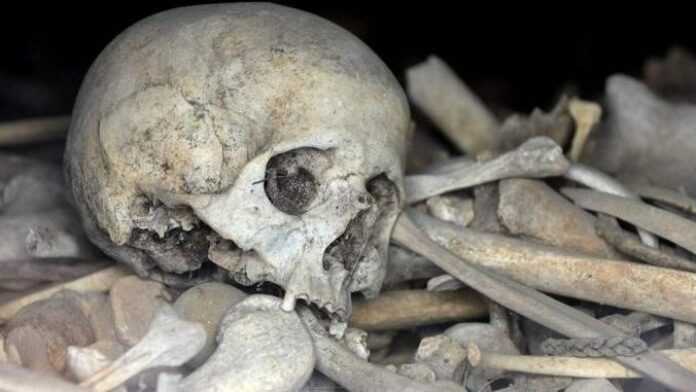 Cameroun ossements humains Cameroun ossements humains