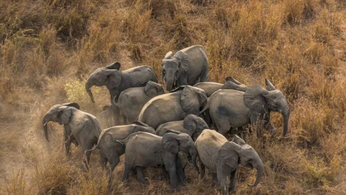 Parc national de la Pendjari Parc national de la Pendjari