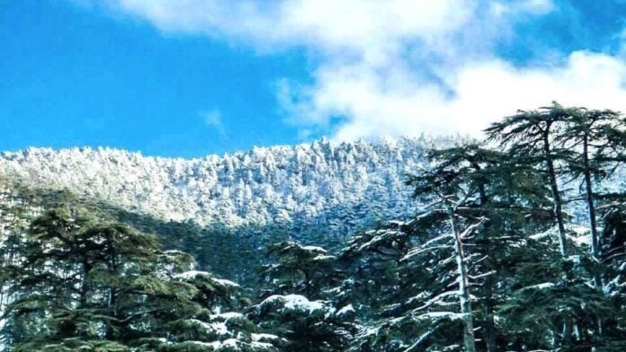 Neige en Algérie