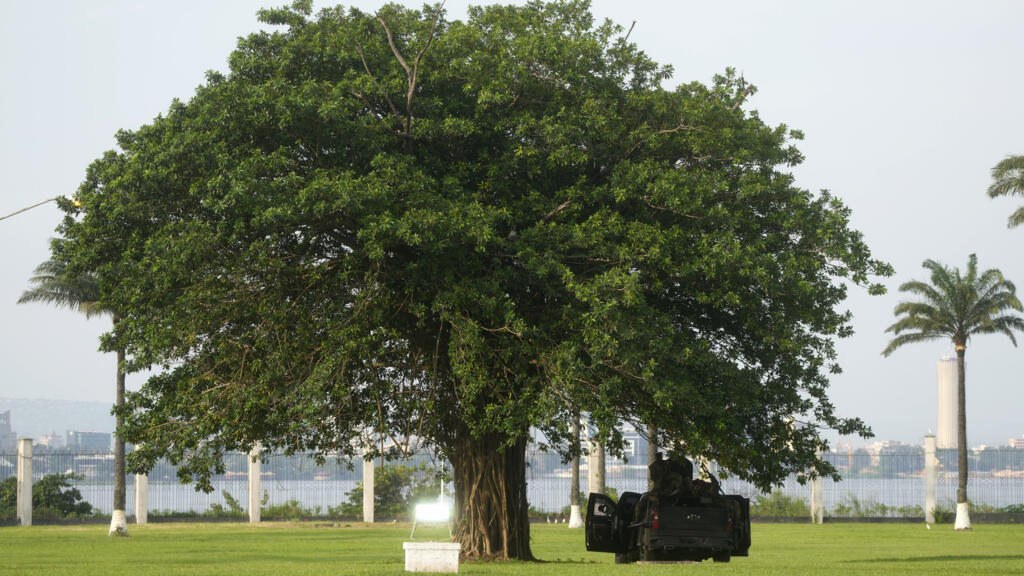 Un baobab au Palais de la Nation à Kinshasa, en RDC. (Image d'illustration)