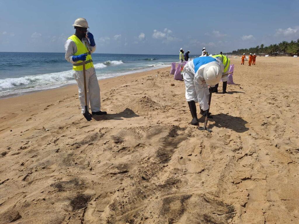 Près de 200 personnes s'activent pour nettoyer les plages polluées.