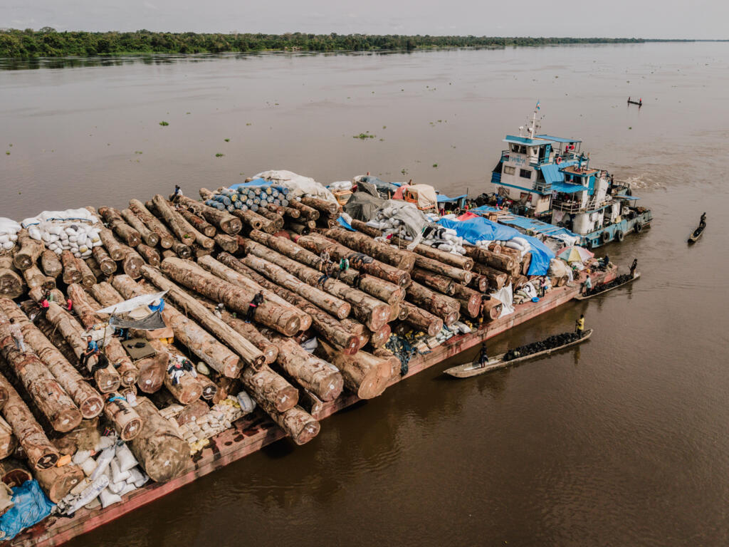 Une barge de grumes issues de l'exploitation forestière sur le fleuve Congo dans la province de l’Équateur en RDC en novembre 2025.