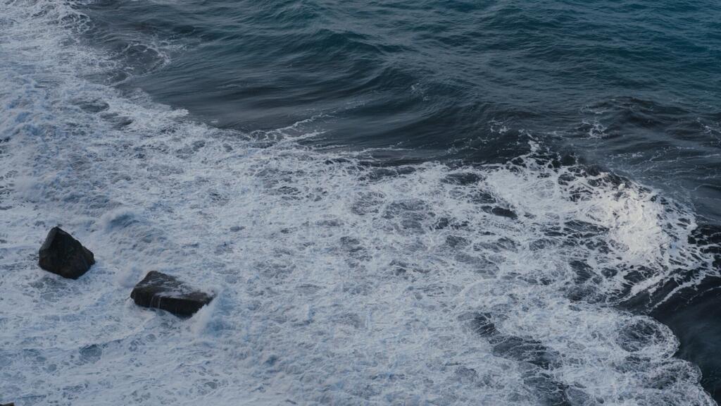 « The Last Harvest », film réalisé par Nuno Boaventura Miranda, présenté à l’édition 2026 du Festival international du court métrage de Clermont-Ferrand.