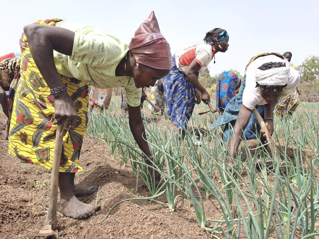 Les femmes du village de Tchinlovogo parviennent à améliorer leur village grâce à leurs activités maraîchères.