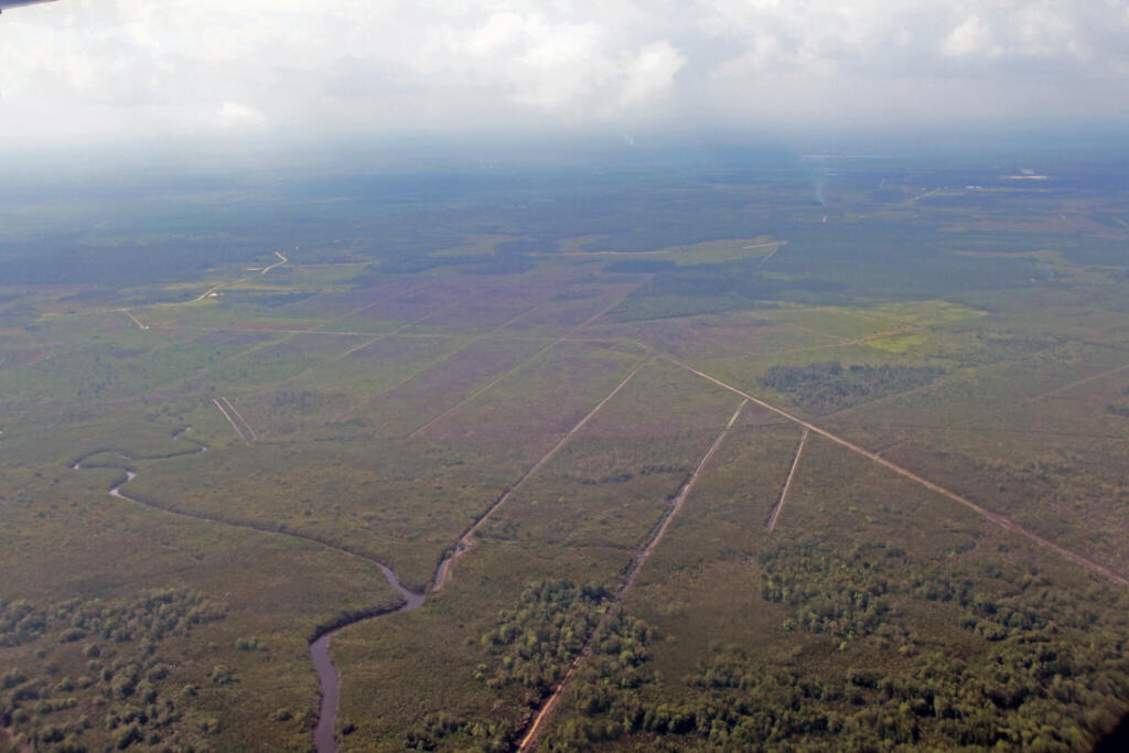 Vue aérienne de tourbières et de canaux de drainage, au Kalimantan (Indonénie), en 2013.
