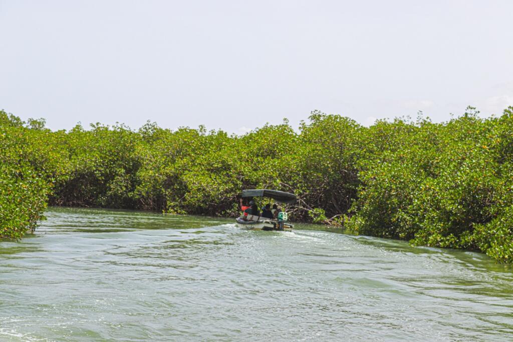 Une embarcation de touristes circule dans la lagune de la Somone, au Sénégal, en 2023.