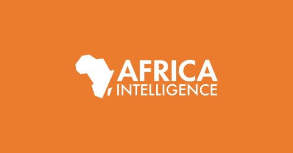 Nigeria : Le français Sofema va fournir des roquettes Thales à l'armée image principale