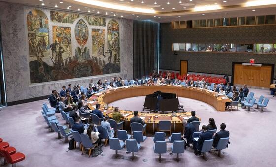 EN DIRECT - Réunion du Conseil de sécurité sur la Libye image principale